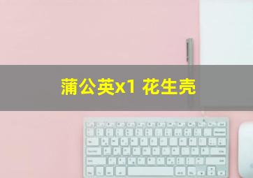 蒲公英x1 花生壳